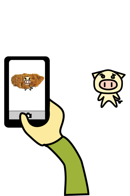How to use Tonkatsu Camera